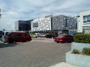 Outdoor Photo