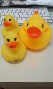 LG L70 Reaer Camera