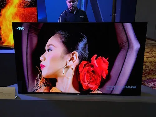 Sony Bravia 4K OLED A1