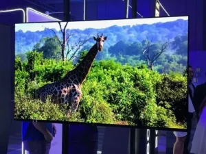 SONY BRAVIA OLED A8F