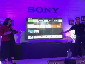 SONY BRAVIA OLED A8F