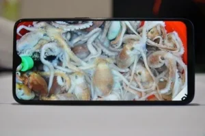 OPPO F9