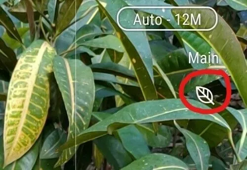 ASUS ZenFone 5z Review