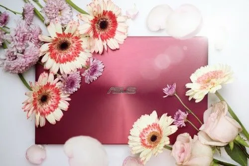 ASUS ZenBook UX333 Burgundy Red