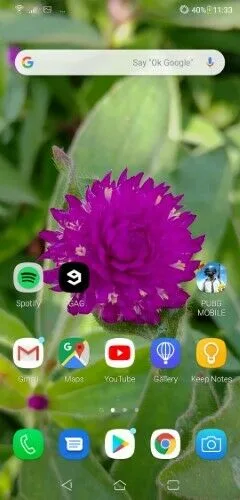 ASUS ZenFone 5z Review