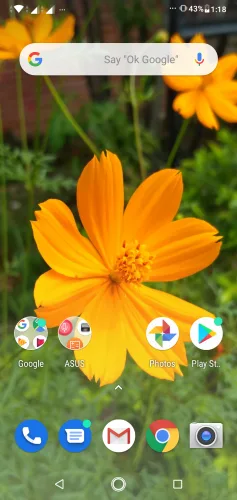 ASUS Zenfone Max M2 Review