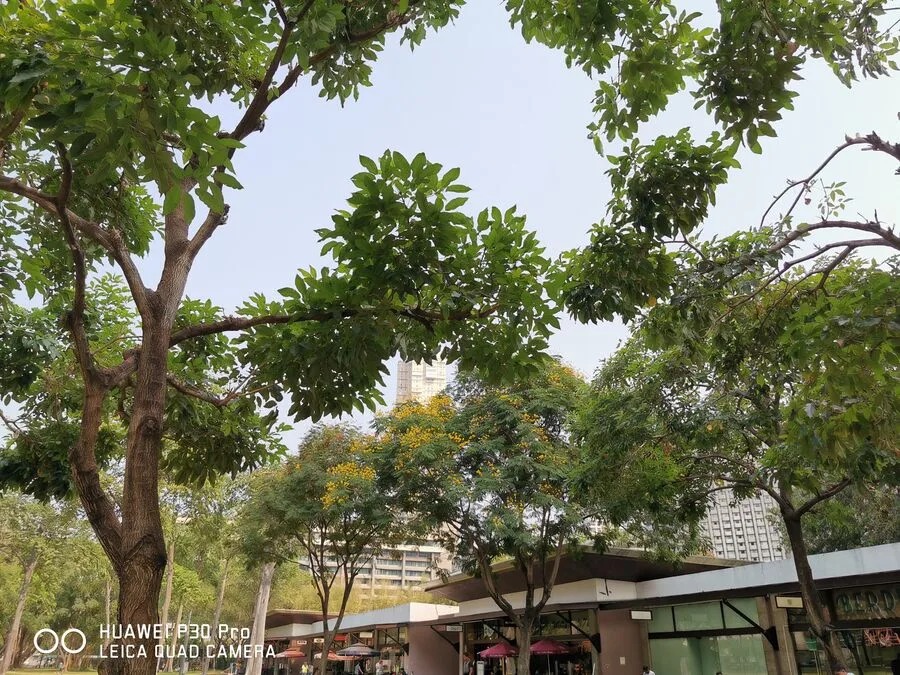 Huawei P30 Pro First Impressions Huawei P30 Pro First Impressions