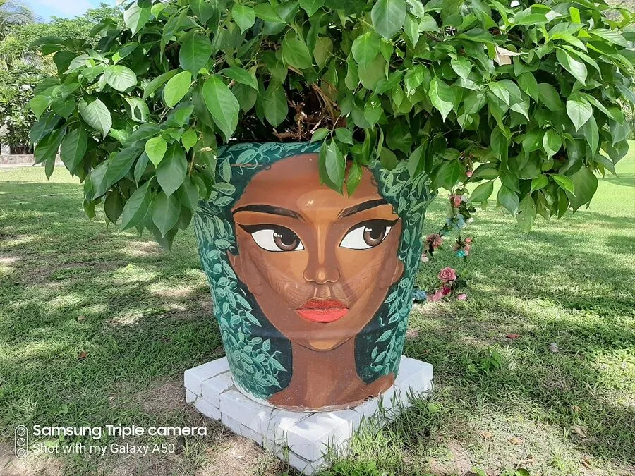 Samsung Galaxy A50 Travel