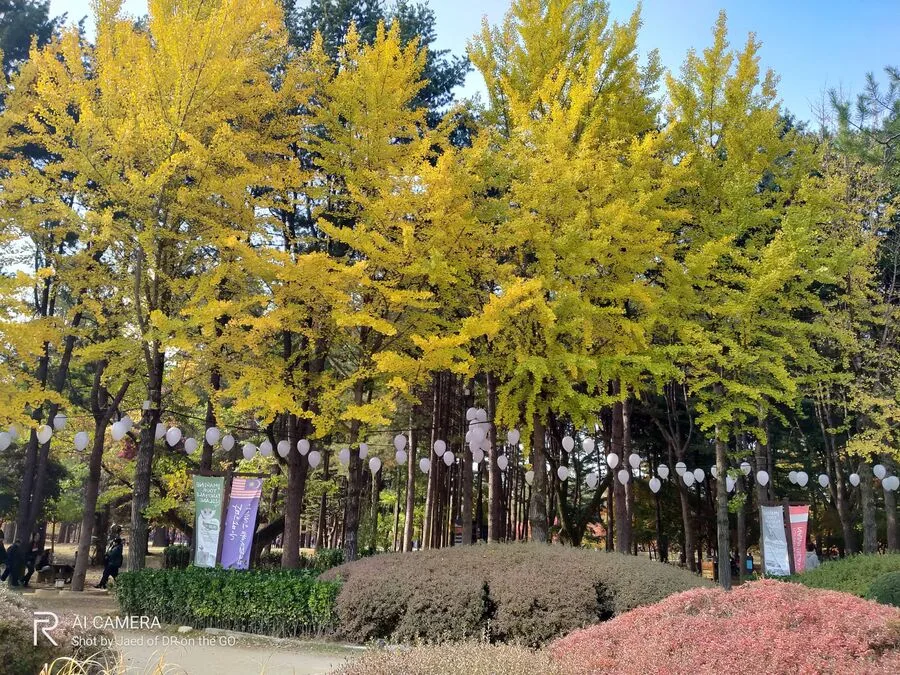 Korea Realme 5