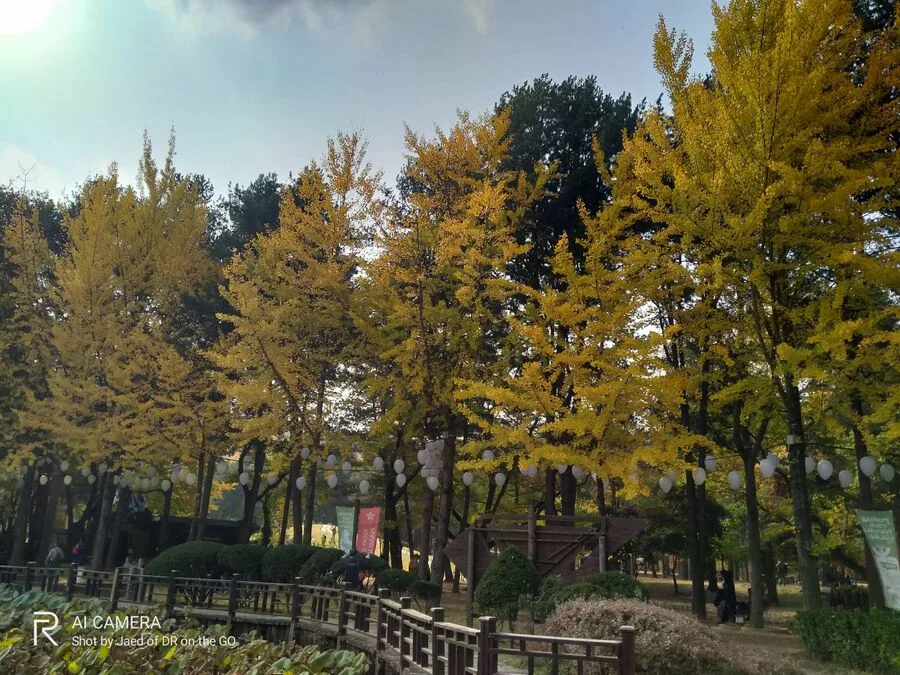 Korea Realme 5