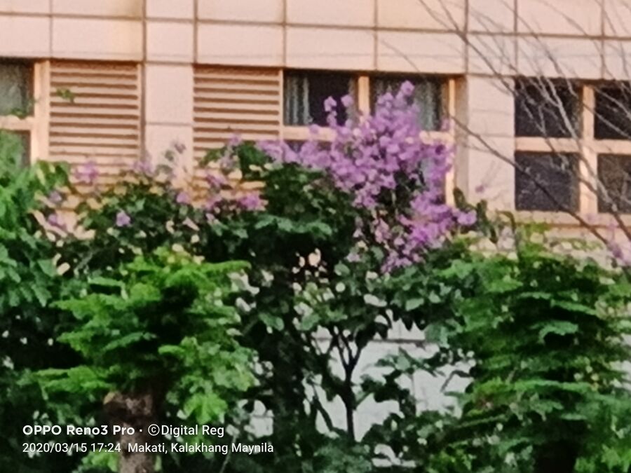 OPPO Reno3 Pro First Impressions