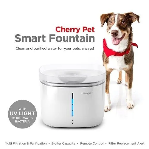 Cherry Pet