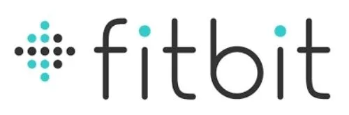 Fitbit Flow