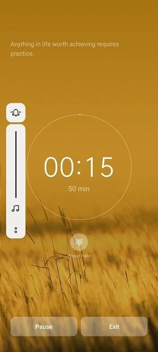 realme C11
