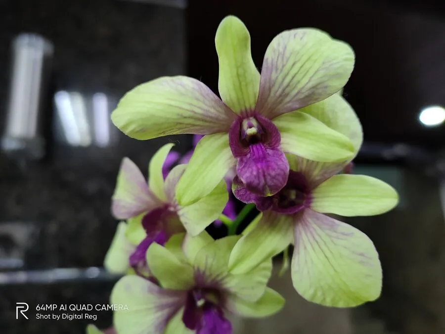 realme 7 Pro