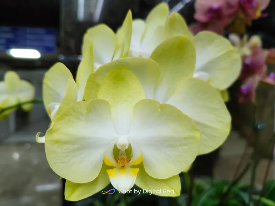 realme 8 Pro Review realme 8 Pro Review