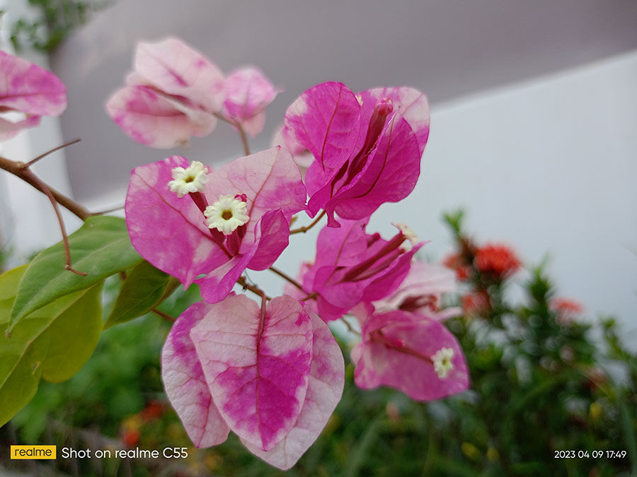 realme c55 Img20230409174937