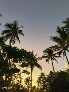 Img 20230325 180212 2