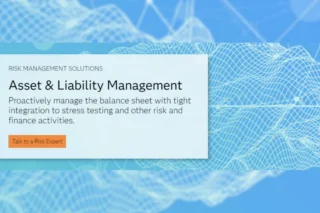 Asset Liability Management Img