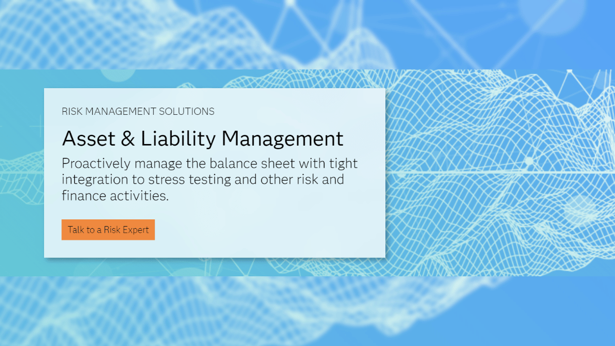 Asset Liability Management Img