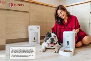 Cherry Smart Pet Feeder Plus Img