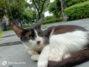 Img20230726170145 1