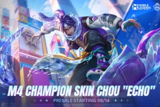 M4 Champion Skin Chou Echo
