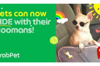 Grabpet Now Img