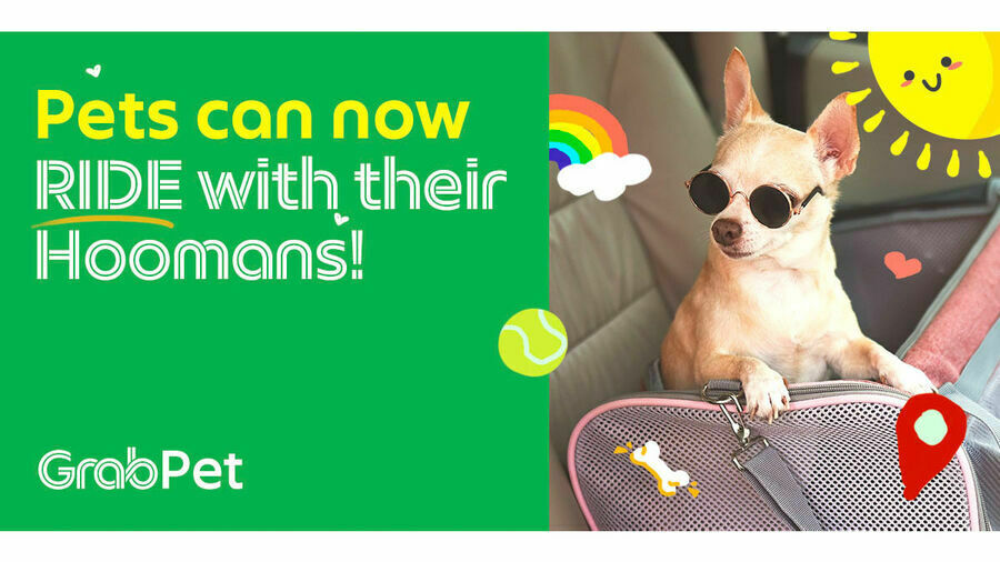 GrabPet Grabpet Now Img