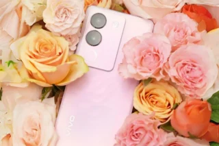 Vivo V29 5g Rose Pink Edition