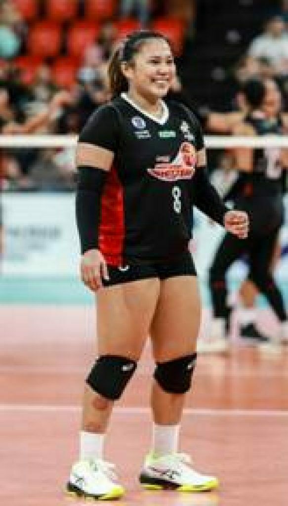 PLDT High Speed Hitters Image002