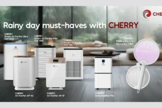 Rainy Day Must Have Cherry Img