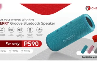 Cherry Groove Bluetooth Speaker Img
