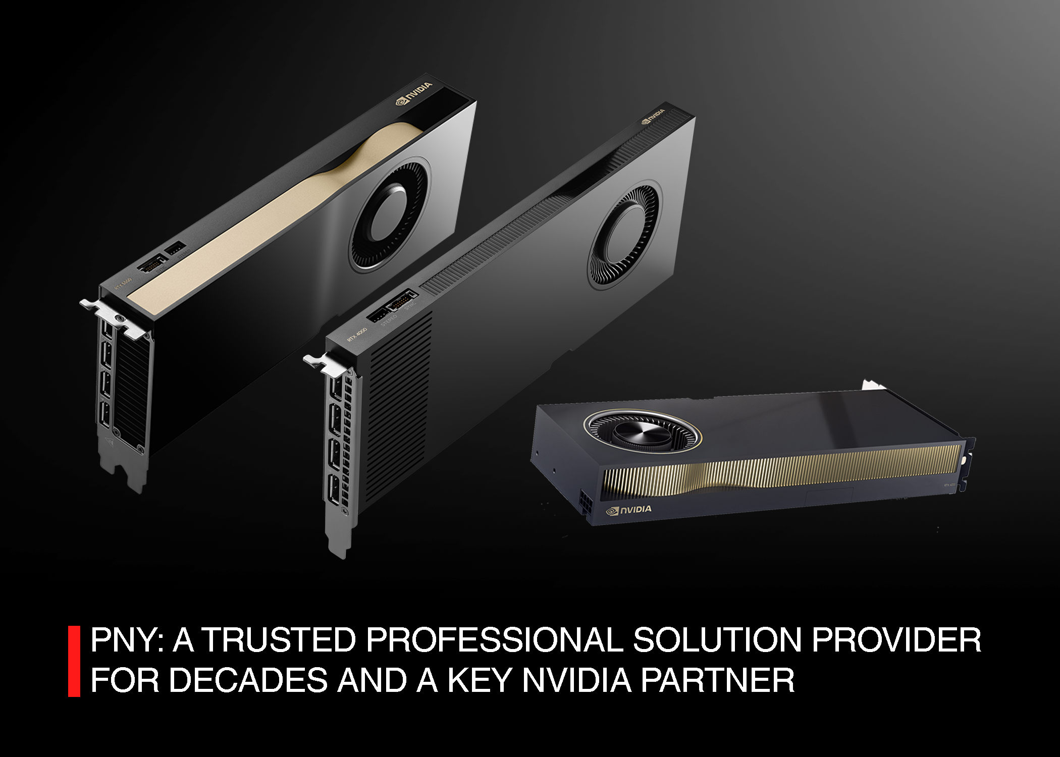 NVIDIA Partner PNY NVIDIA Partner Banner