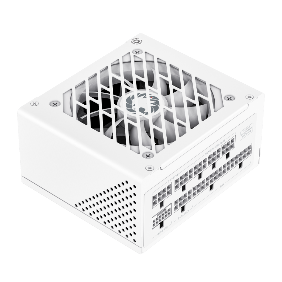 GS SFX Gold Series Gs 850g Wh 01