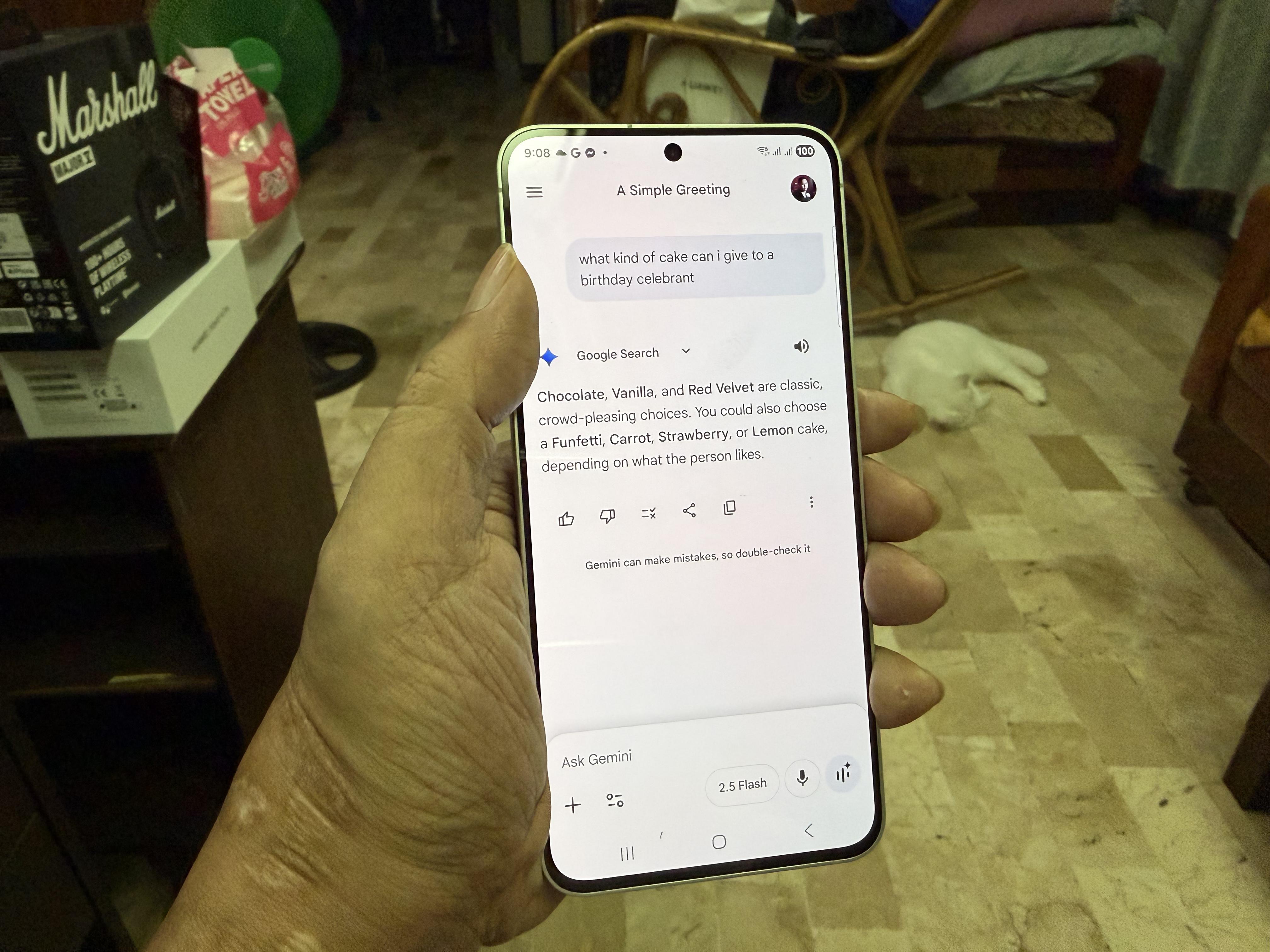Samsung Galaxy S25 FE