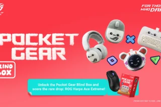 Pocket Gear